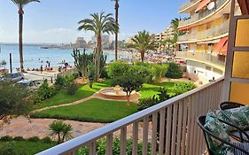 Garden Beach Apartment