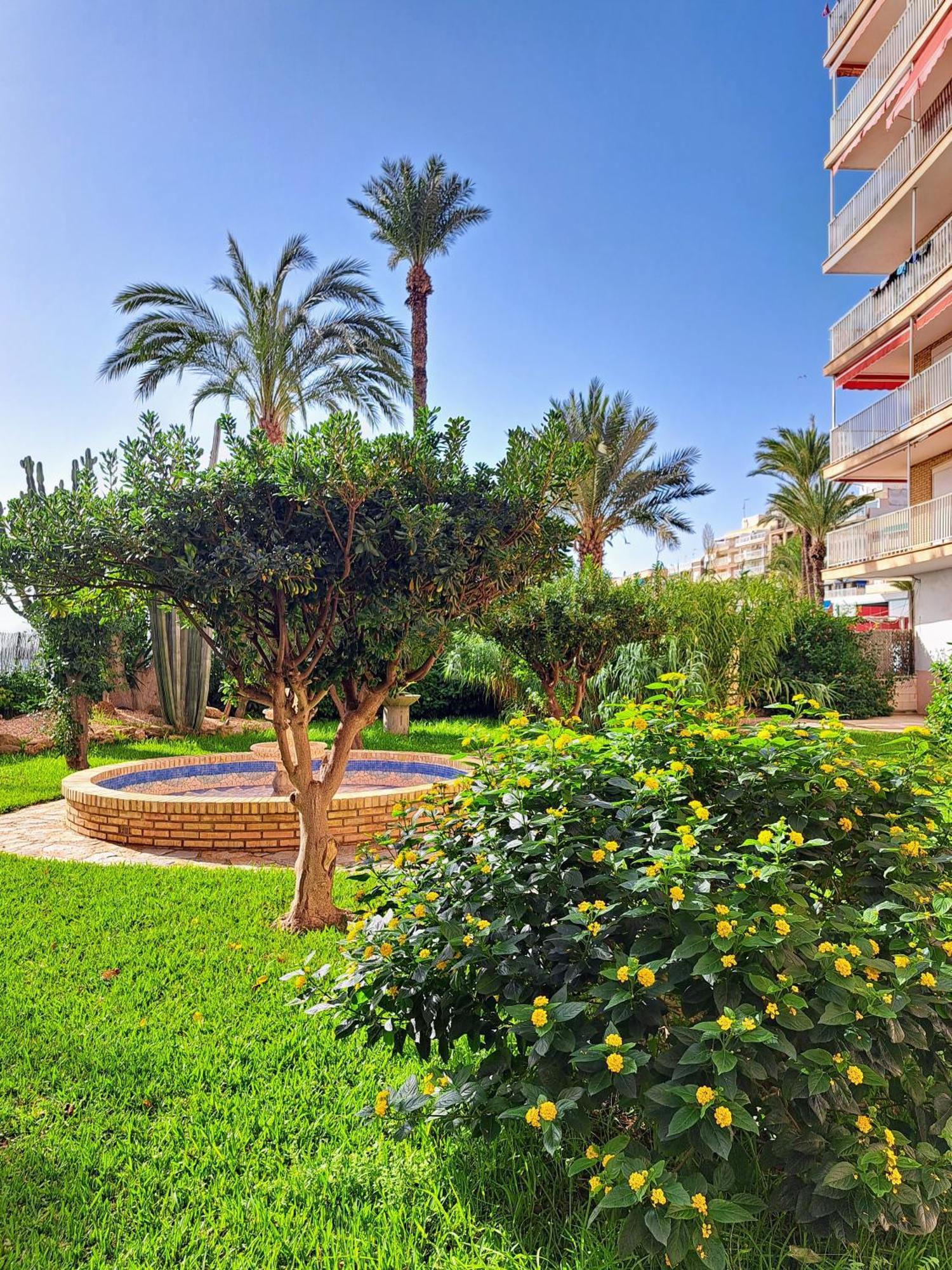 Garden Beach Apartment Torrevieja Exterior photo